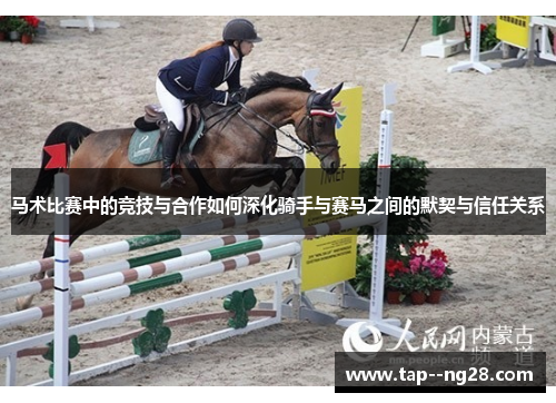 马术比赛中的竞技与合作如何深化骑手与赛马之间的默契与信任关系